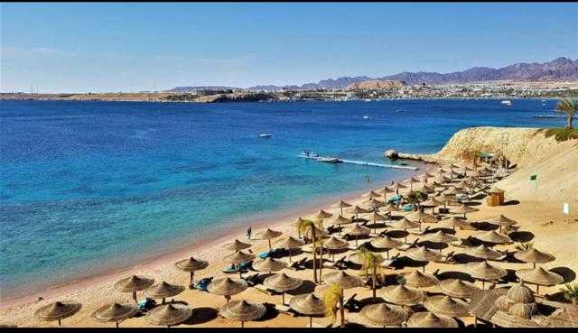 إعادة تقييم  716 منشأة فندقية في الأقصر وأسوان والبحر الأحمر