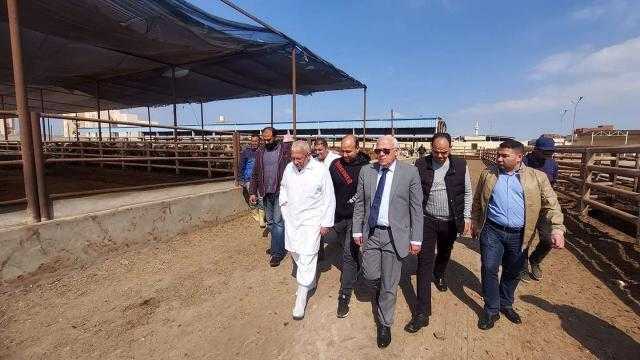 استعدادًا لشهر رمضان.. محافظة بورسعيد تستقبل دفعة جديدة من الماشية