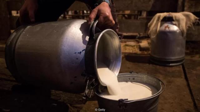 تجارة الألبان