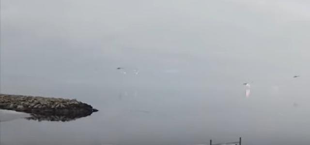 شاهد.. لحظة إسقاط مروحيات روسية قبل دخولها كييف الأوكرانية