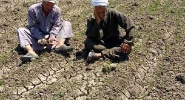 14 مليون نسمة منذ 2014.. الزيادة السكانية سرطان يلتهم الأراضي الزراعية| خاص