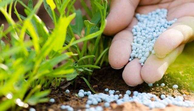 طن اليوريا بـ9200 جنيه.. اعرف أسعار الأسمدة لدى التجار