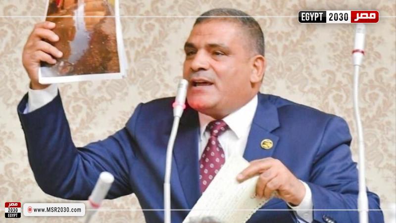 النائب محمد محمود عبد القوي، أمين سر لجنة الزراعة والري بمجلس النواب