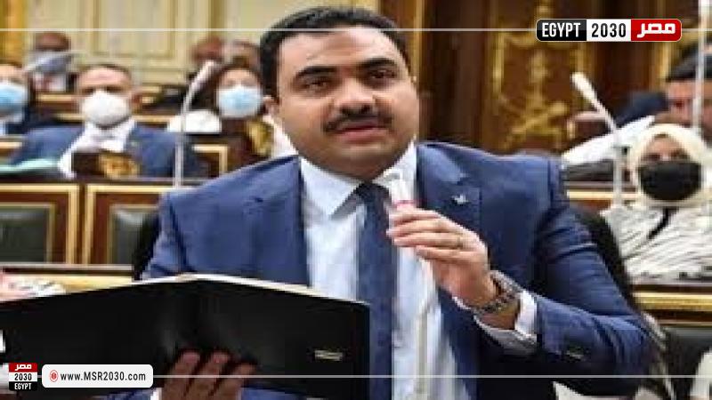 النائب محمود قاسم