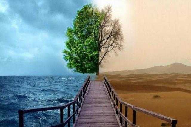 في 20 ثانية.. دعاء بمليون حسنة أخبر به النبي ﷺ