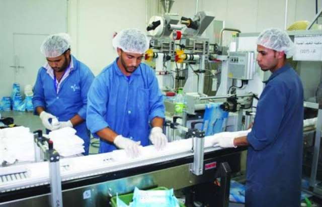 تنمية المشروعات