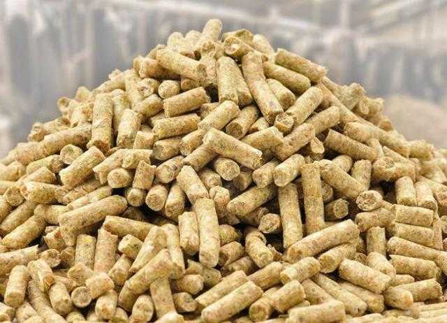 أسعار الأعلاف تقفز 300 جنيه في الطن