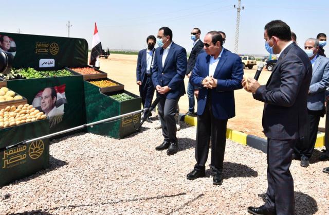 مشروع مستقبل مصر للإنتاج الزراعي