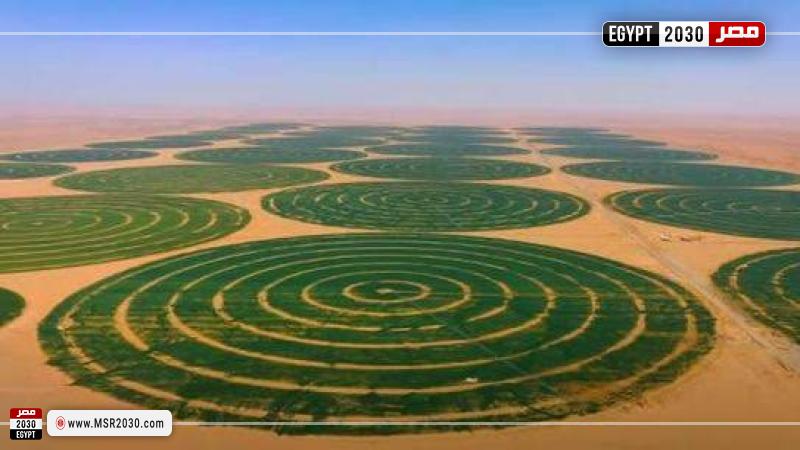 الزراعة
