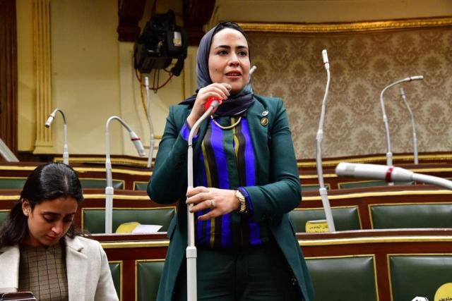 الدكتورة سارة النحاس، عضو مجلس النواب