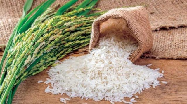 الزراعة تعلن أسعار تقاوي الموسم الصيفي 2022