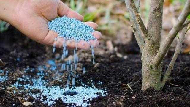 استقرار أسعار الأسمدة اليوم الخميس في الأسواق المحلية والعالمية