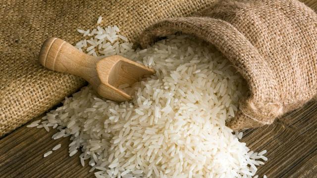 أسعار الأرز اليوم