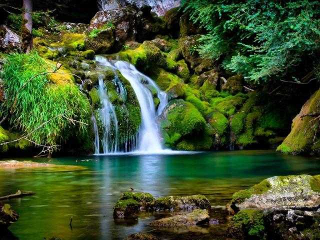 تلاوات خاشعة.. هزاع البلوشي حين ترتقي بنفسك إلى واحة القرآن