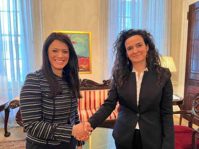 المشاط: حريصون على تعزيز التعاون مع المؤسسات الدولية لتحقيق التحول الأخضر