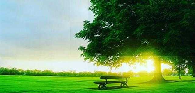 هل تريد مرافقة النبي ﷺ في الجنة؟ 10 صفات لتفوز بها