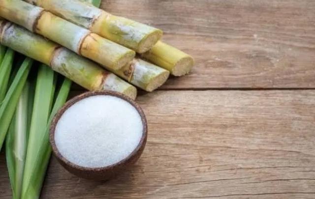 توريد أكثر من 4.6 مليون طن قصب السكر حتى الآن