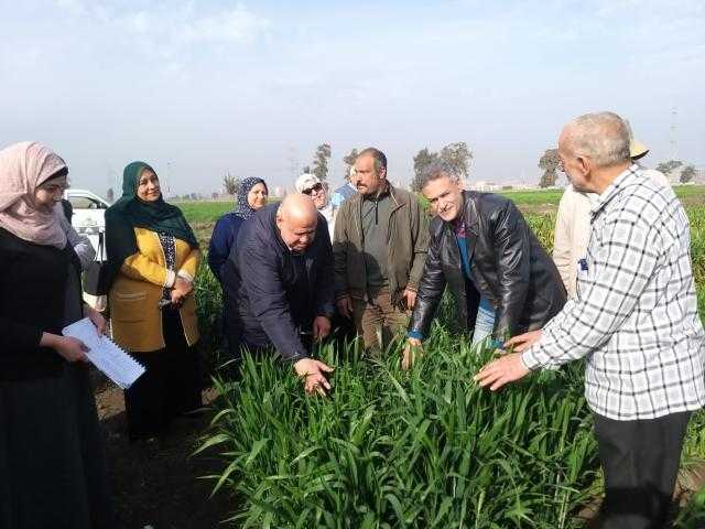 فحص 368 عينة تقاوي.. حصاد أنشطة معهد أمراض النباتات خلال فبراير