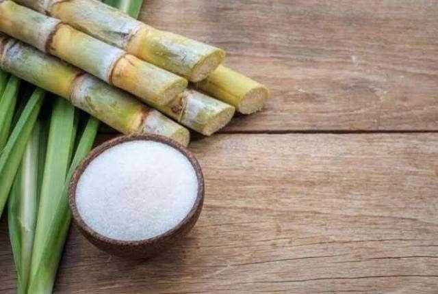 «التموين»: استلام 4 ملايين و36 ألف طن قصب من المزارعين