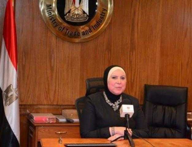 إيقاف وشطب عدد من الشركات المصدرة للسوق المصري.. «التجارة والصناعة» ترد