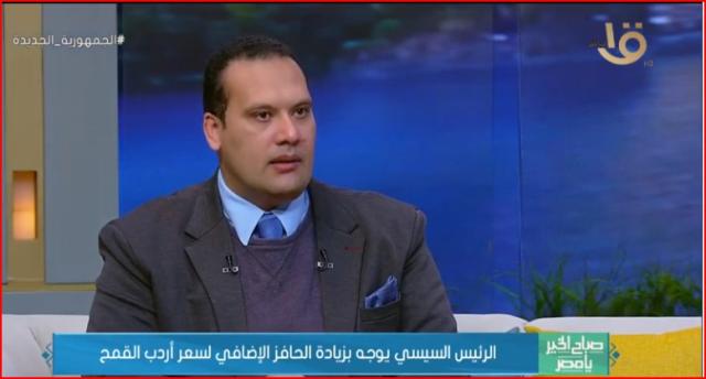 القرش: زراعة كمية قمح تصل إلى أكثر من 3.6 مليون فدان «فيديو»