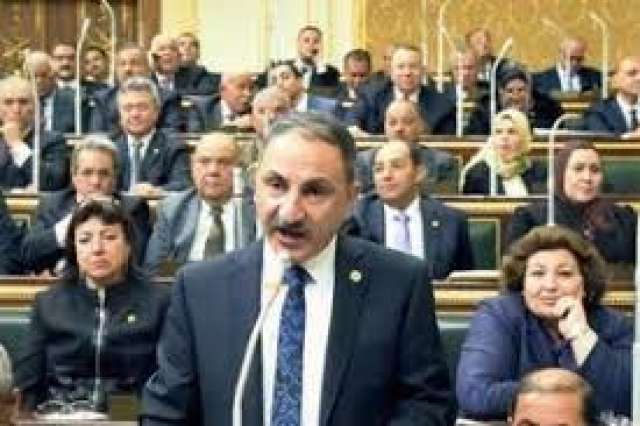 النائب مجدي ملك