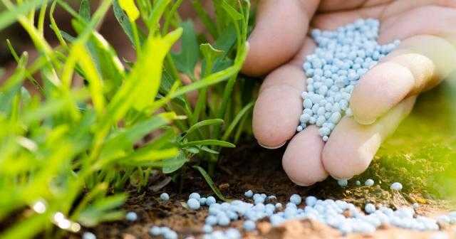 استقرار أسعار الأسمدة الفوسفاتية اليوم الأربعاء