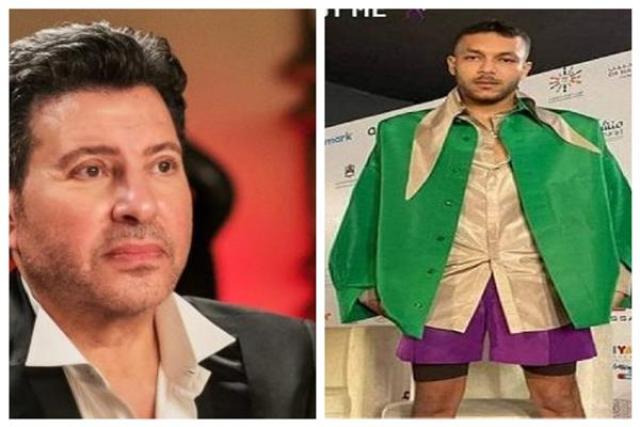 هاني شاكر وويجز
