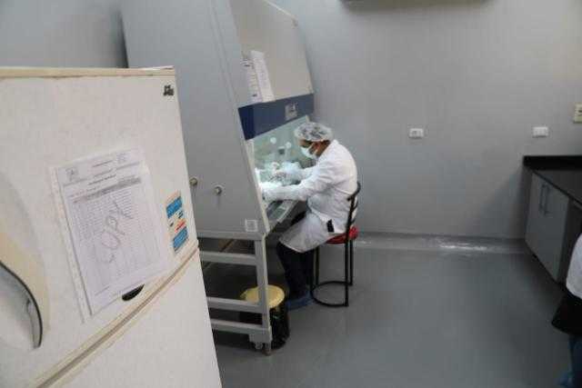 بعد افتتاح خط إنتاج لقاحات الدواجن.. كيف يتم تحقيق الاكتفاء الذاتي؟ خاص