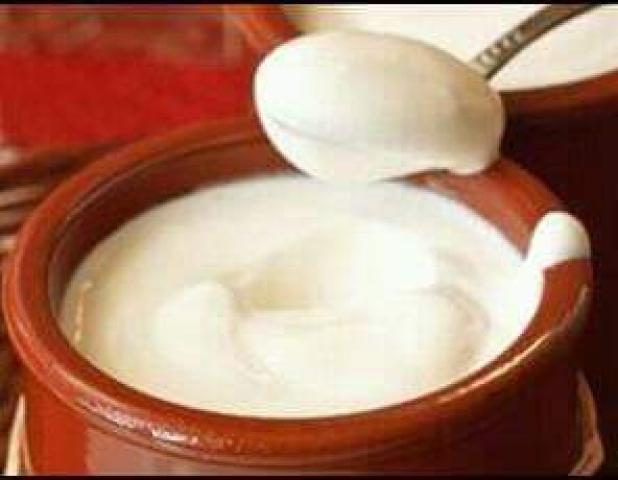 طريقة عمل الزبادى 