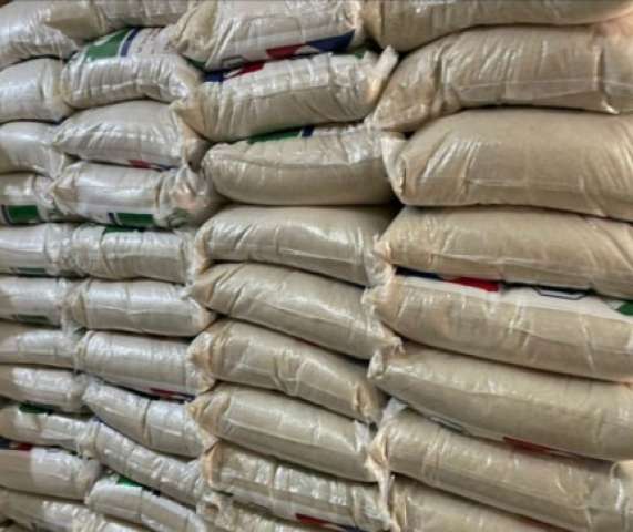 حملة مكبرة بالإسكندرية 