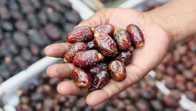 «الزراعة»: مصر الأولى عالميًا في إنتاج التمور (فيديو)