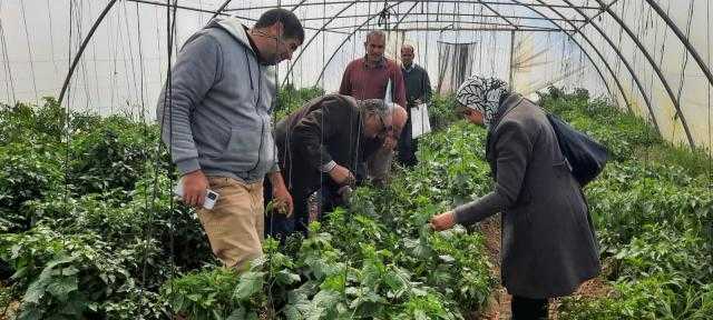 تنفيذ 74 مدرسة حقلية والإنتاج الحيوانى والاستزراع السمكى فى 17 محافظة
