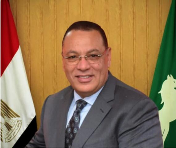 محافظ الشرقية