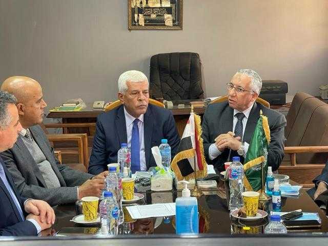 نقيب الزراعيين: ارتفاع الأسعار عالميا يشجع مصر على تحقيق الاكتفاء الذاتي من الذرة