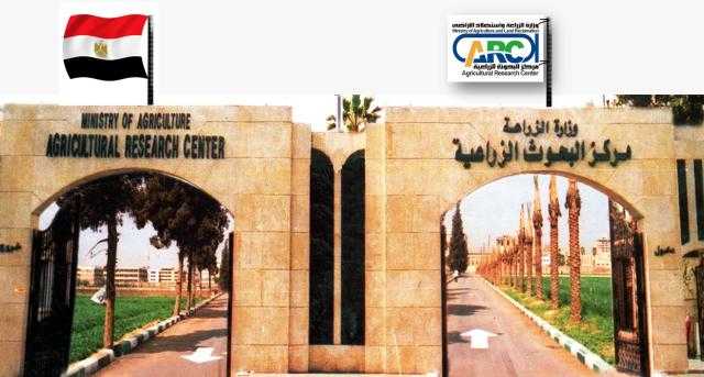وزير الزراعة: التصنيف الجديد للبحوث الزراعية يضعه كأفضل مركز بحثي بالشرق الأوسط وشمال أفريقيا