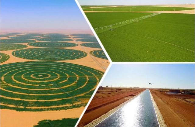 إعادة إحياء مشروع توشكي