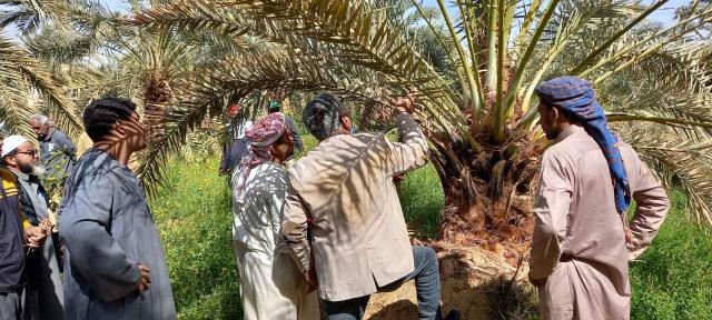 المدارس الحقلية