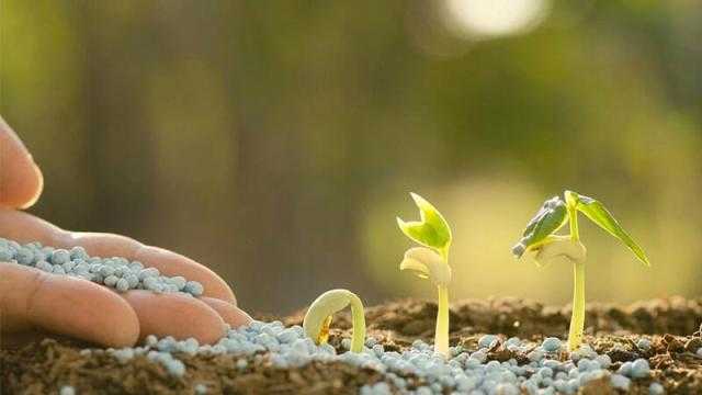 أسعار الأسمدة الفوسفاتية تستقر اليوم