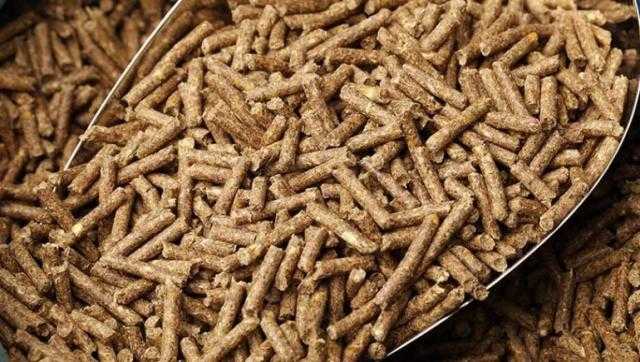 ضبط 3 طن أعلاف حيوانية غير صالحة للاستهلاك داخل مصنع في الغربية