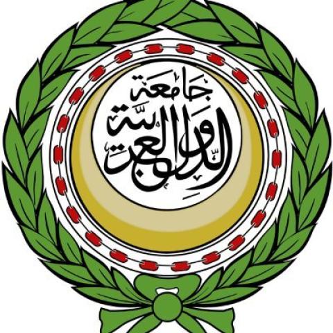 جامعة الدول العربية 