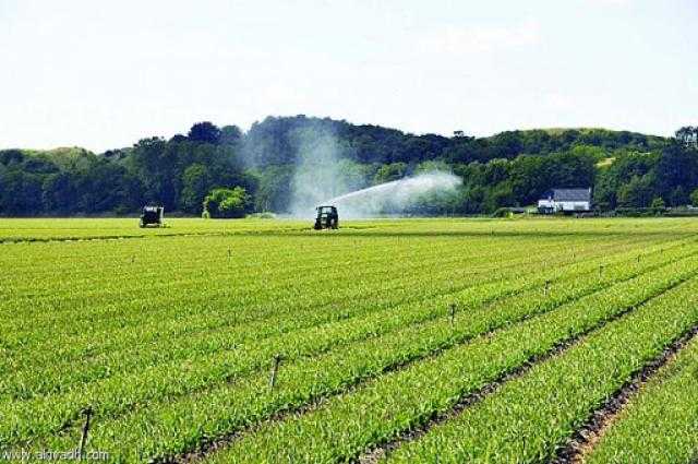 شاهد.. حجم خسائر أوكرانيا الزراعية بسبب الغزو الروسي