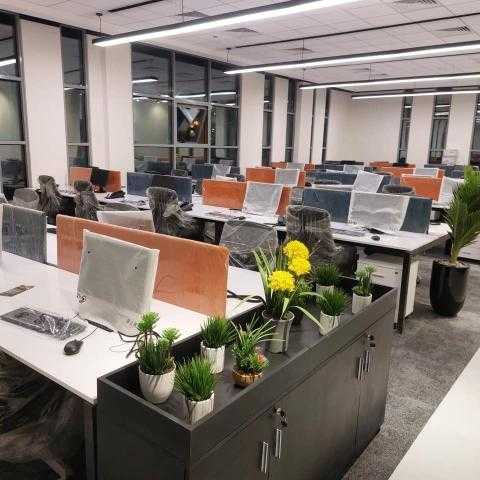 هالة السعيد تعلن اكتمال إنشاء مركز «خدمات مصر» بأسوان