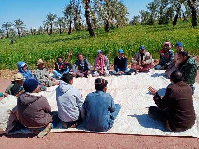 تنفيذ 169 مدرسة حقلية للمحاصيل الشتوية والإنتاج الحيواني والاستزراع السمكي في 18 محافظة