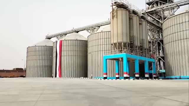 المشروع القومي للقمح