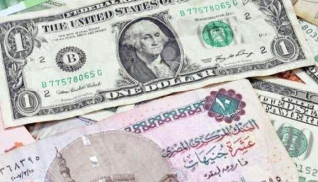 الدولار