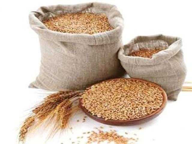 ما هي زكاة الفطر متى وقتها ومن يستحقها؟ مركز الأزهر يُجيب