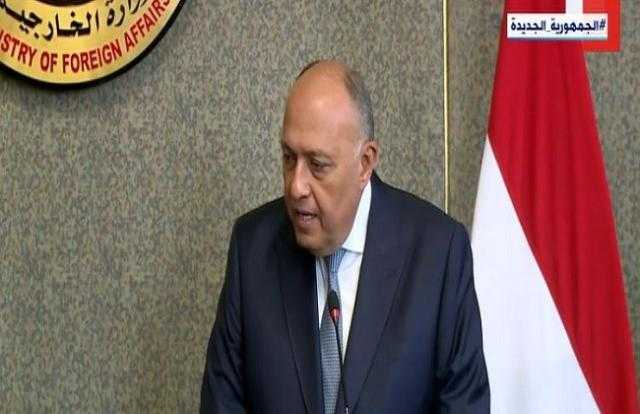 «شكري»: تحركنا لحل الأزمة الأوكرانية لخطورة الوضع على السلم والأمن الدوليين