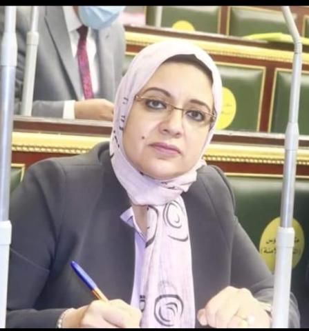النائبة ريهام عبدالنبي، عضو مجلس النواب عن الحزب المصرى الديمقراطى 