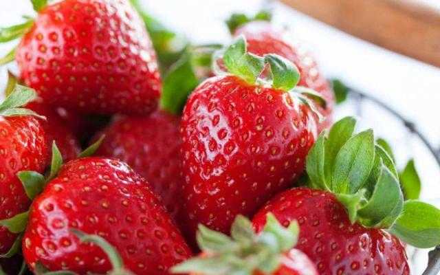 هل يتم فرض رسوم جبرية على صادرات الفراولة المجمدة؟.. «الزراعة» تُجيب